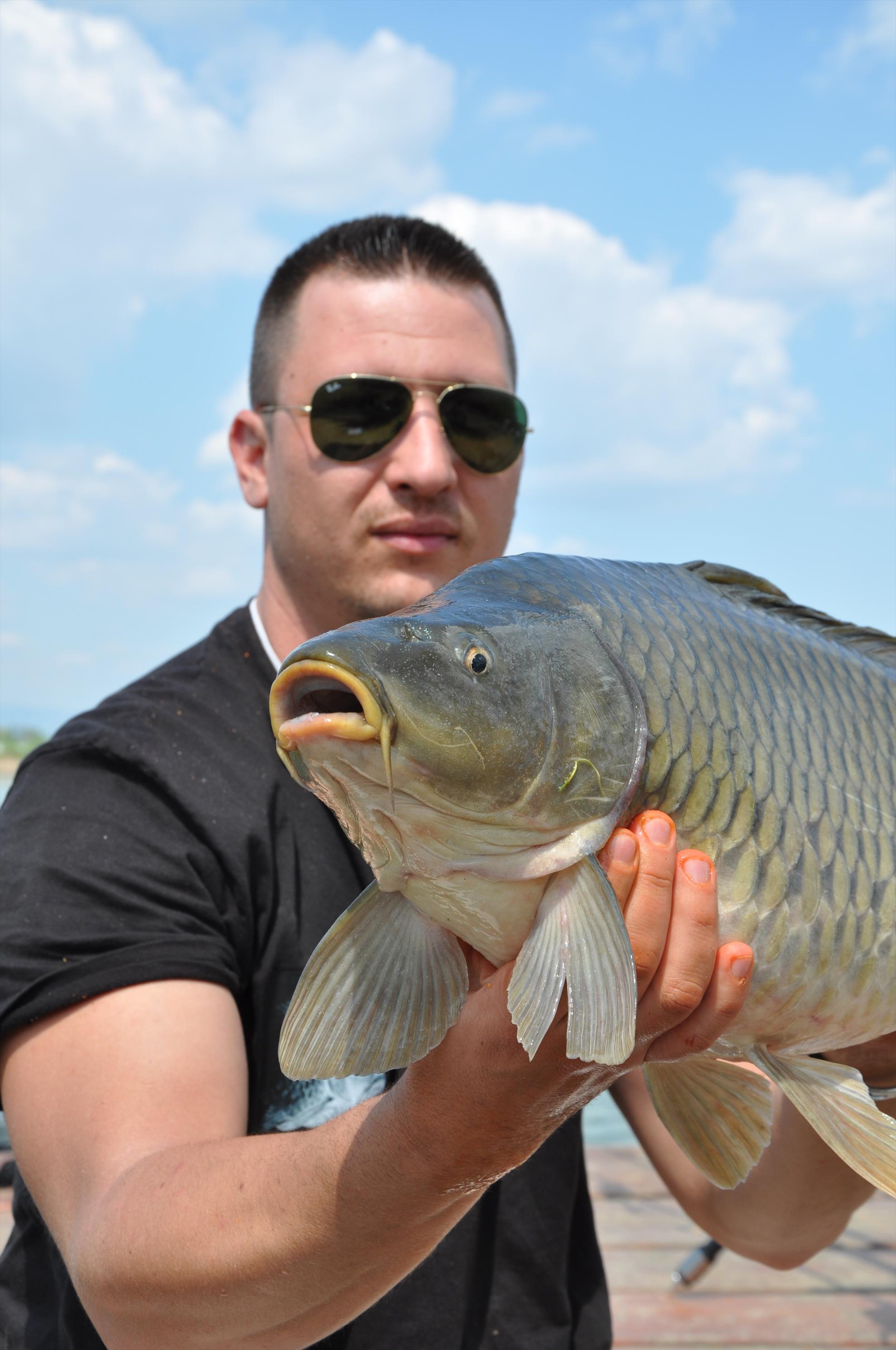 GALERIE FOTO TROFEUL USAMV - PLEASA 2 - dsc0498.JPG